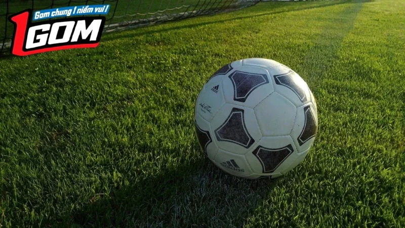 Cách Xem Tỷ Số Hôm Nay Trên 7M Nhanh Nhất Áp dụng mẹo cập nhật kết quả chuẩn và nhanh chóng